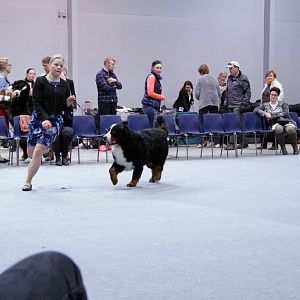 IMG_9109