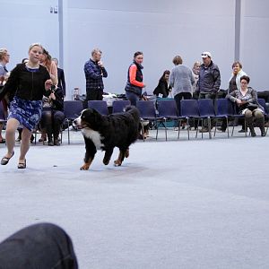 IMG_9110