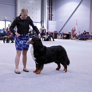 IMG_9112