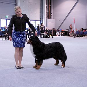 IMG_9114