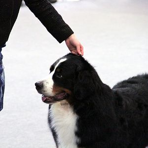 IMG_9116