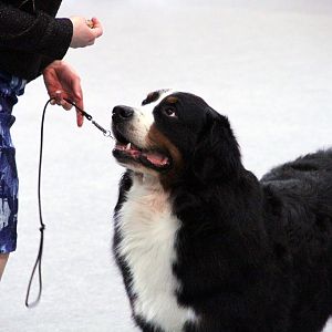 IMG_9117