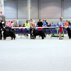 IMG_9123