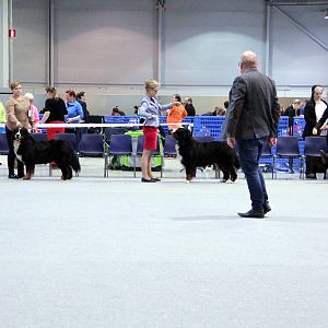IMG_9124