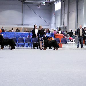 IMG_9125