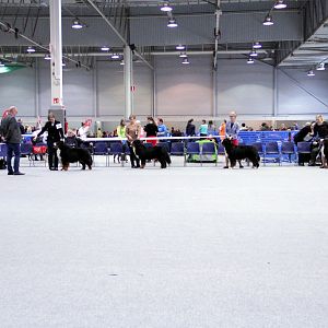 IMG_9127