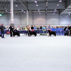 IMG_9128