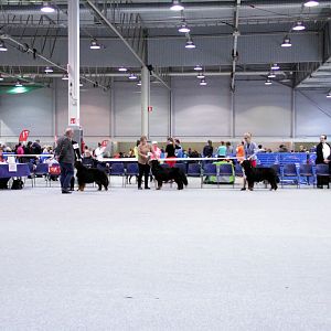 IMG_9129