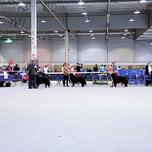 IMG_9130
