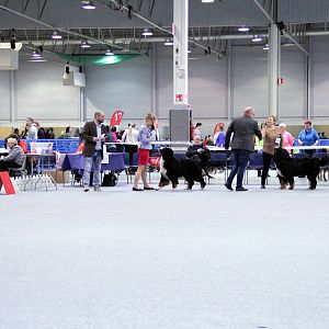 IMG_9132