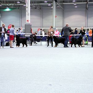 IMG_9134