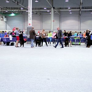 IMG_9135