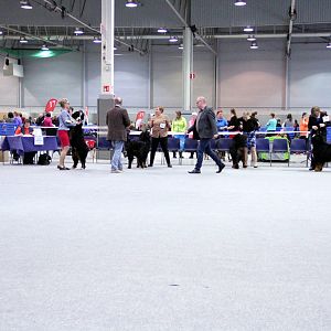 IMG_9136