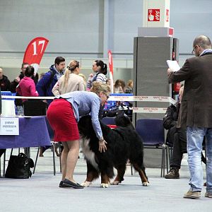 IMG_9137