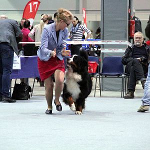 IMG_9139