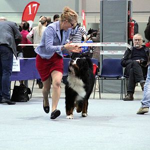 IMG_9140