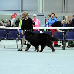 IMG_9146
