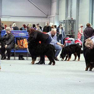 IMG_9155