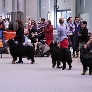 IMG_9165