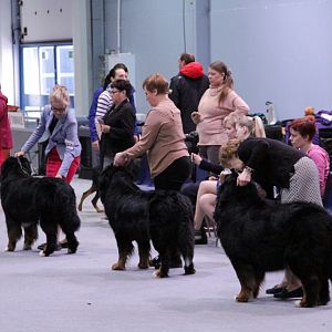 IMG_9167