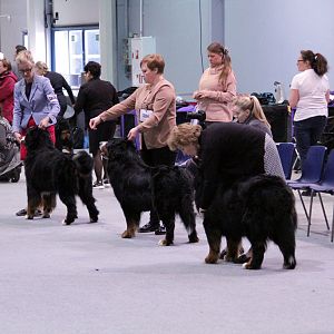 IMG_9168