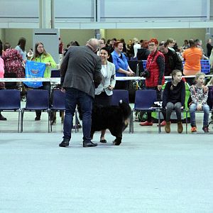 IMG_9171