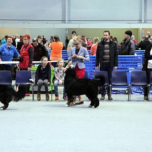 IMG_9174