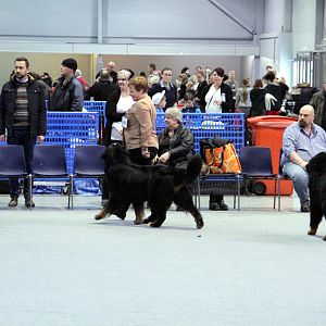 IMG_9175