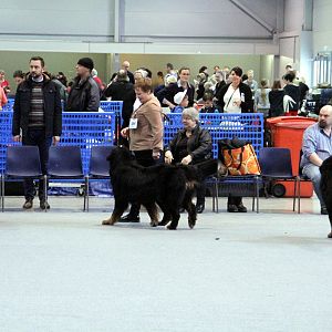IMG_9176