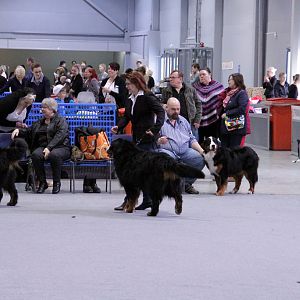 IMG_9178