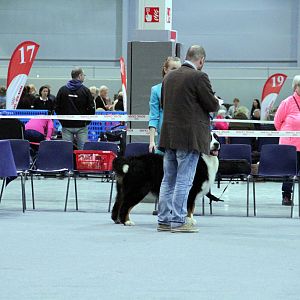 IMG_9179