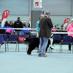 IMG_9180
