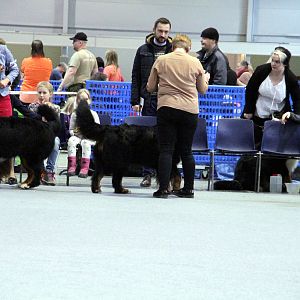 IMG_9186