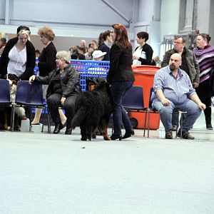 IMG_9187