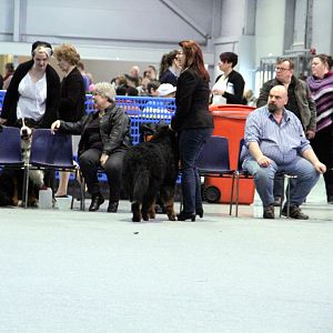 IMG_9188