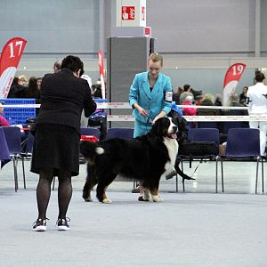 IMG_9190