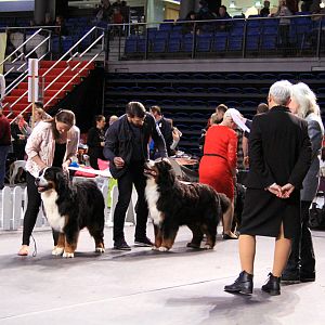 IMG_0034