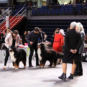 IMG_0035