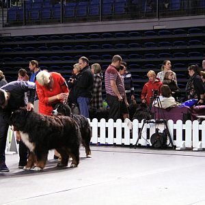 IMG_0036