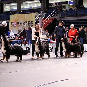 IMG_0039