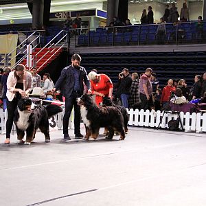 IMG_0041