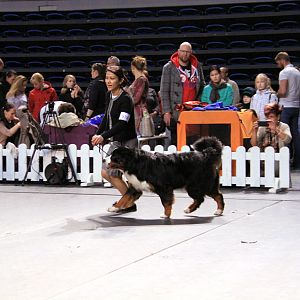 IMG_0046