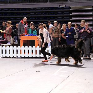 IMG_0061