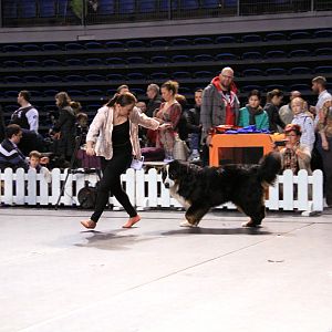 IMG_0064