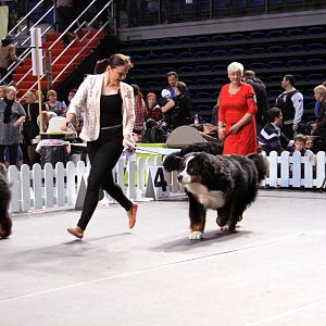 IMG_0065