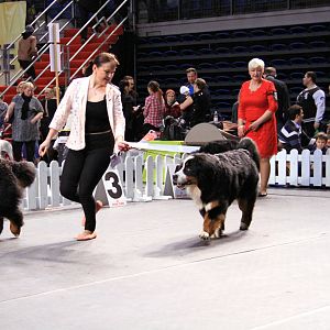 IMG_0066