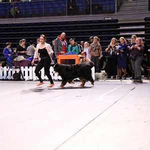 IMG_0068