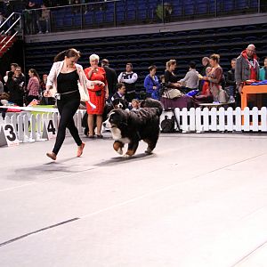 IMG_0069