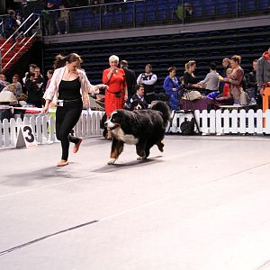 IMG_0070