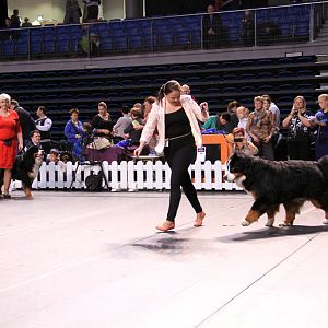 IMG_0071